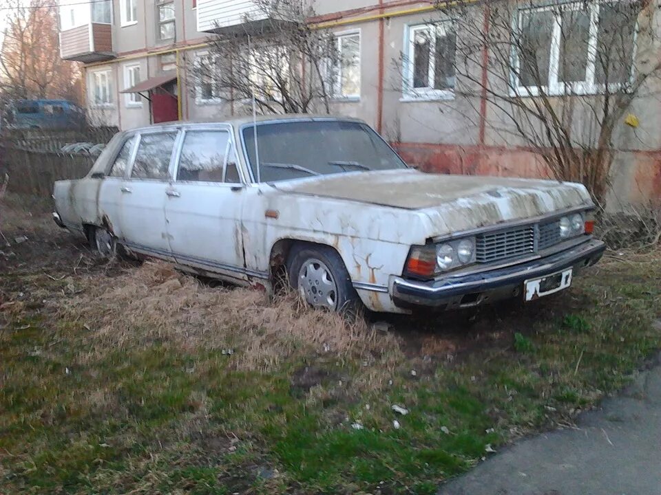 Заброшенный лагерь чайка в подмосковье. Старые заброшенные автомобили. Чайка машина газ 14. Газ 13 заброшенные. Газ 14 заброшенная.