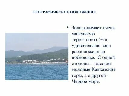 Наше побережье черного моря