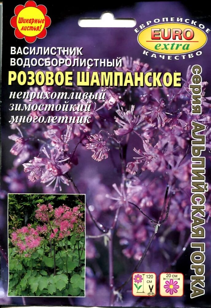 Василистник водосборолистный розовое шампанское. Василистник брызги шампанского. Василистник водосборолистный. Василистник семена купить