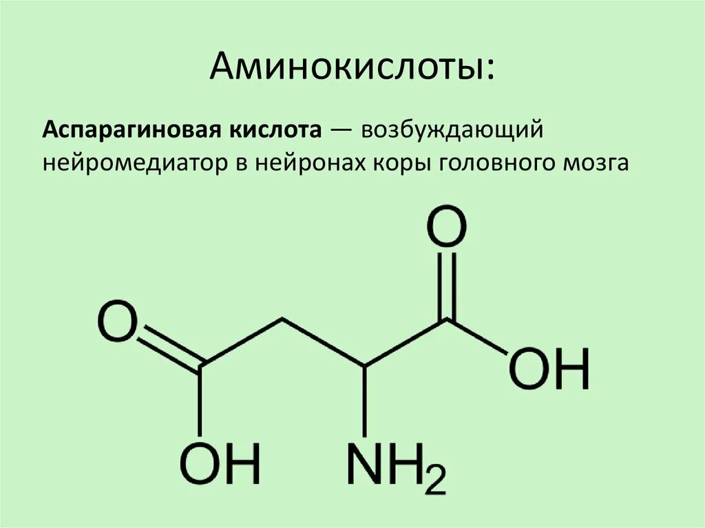 Аспарагиновая кислота формула. Аспарагиновая кислота нейромедиатор. Аспарагиновая кислота формула аминокислоты. Аспарагиновая кислота структурная формула.