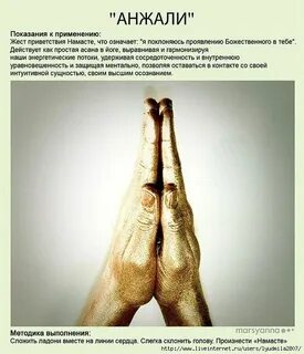 Мудра жизни описание