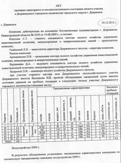 Натурное техническое обследование лесного участка