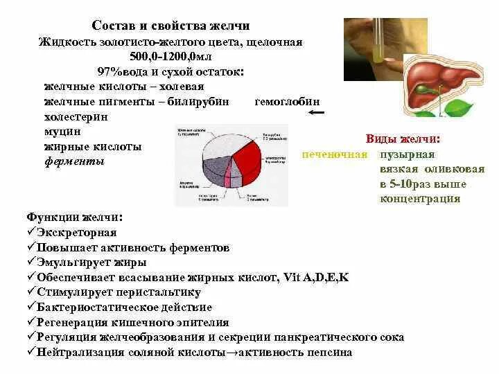 Состав е ю. Состав желчи и ее функции. функции компонентов желчи. образование, состав и функции желчи.. компоненты желчи и их функции.