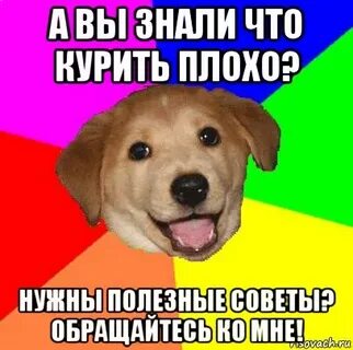 За советом обращайтесь