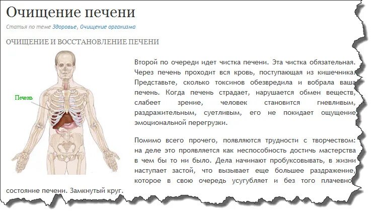 Сколько восстанавливать печень. Восстановление печени. Очищение и восстановление печени. Зашлакованность печени симптомы. Признаки очистки печени.