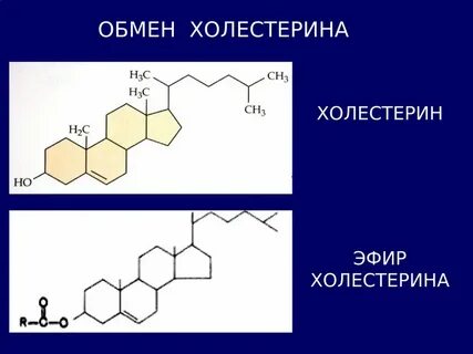 Формула холестерина