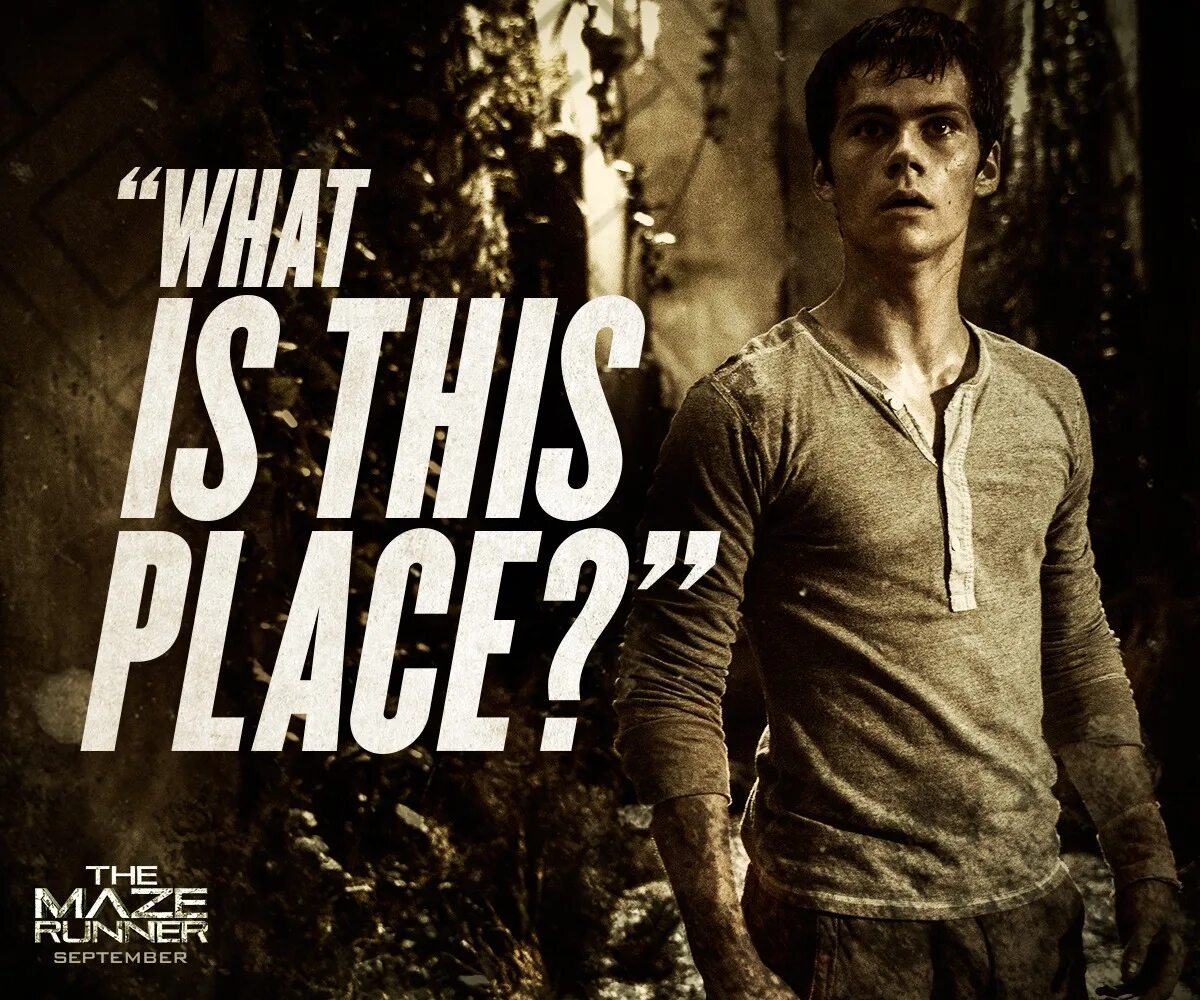 Maze runner 2. The Maze Runner. The Maze Runner 2014 poster. Бегущий в лабиринте the Maze Runner.