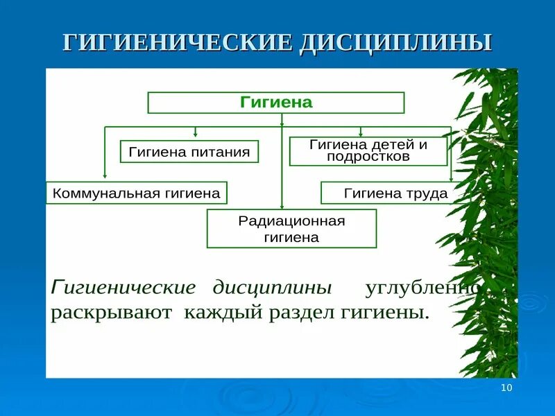 Санитария определение кратко. Военное питание гигиена. Гигиена дисциплина медицинская. Наука о сохранении общественного здоровья. Взаимосвязь гигиены с другими дисциплинами.
