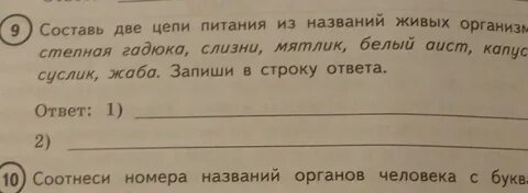 Цепь питания капуста жаба