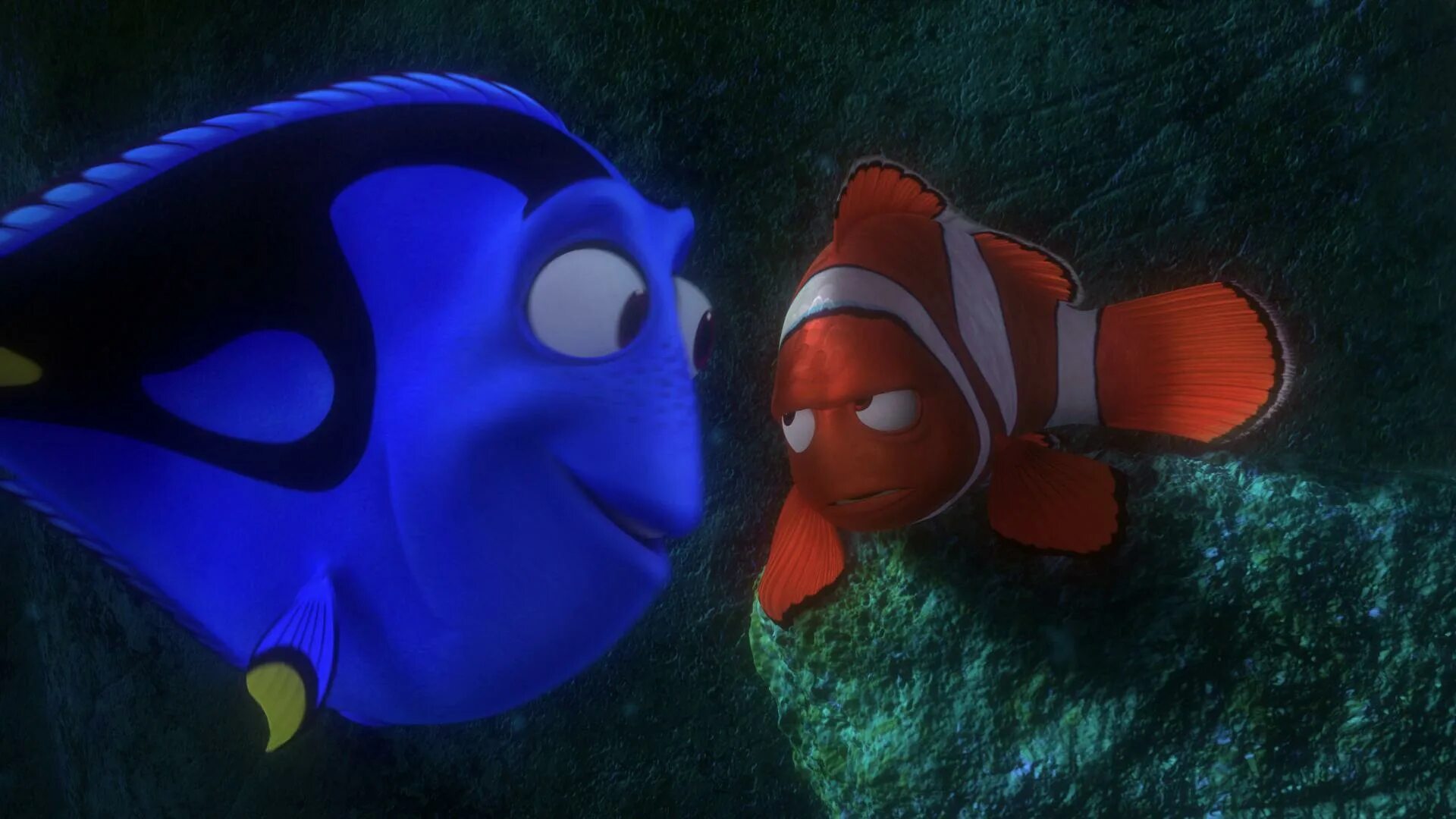 Nemo remastered. Дори Капитан Немо. Рыба клоун из Немо. Капитан Немо рыба. Рыбка дори.