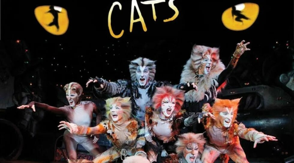 Эндрю уэббер кошки. Мюзикл кошки 1981. Cats Эндрю Ллойд Уэббер. Эндрю Ллойд Уэббер мюзиклы. Мюзикл кошки э.л.Уэббер.