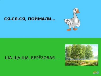 Дифференциация щ сь