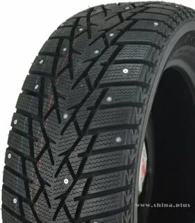 Doublestar dw01