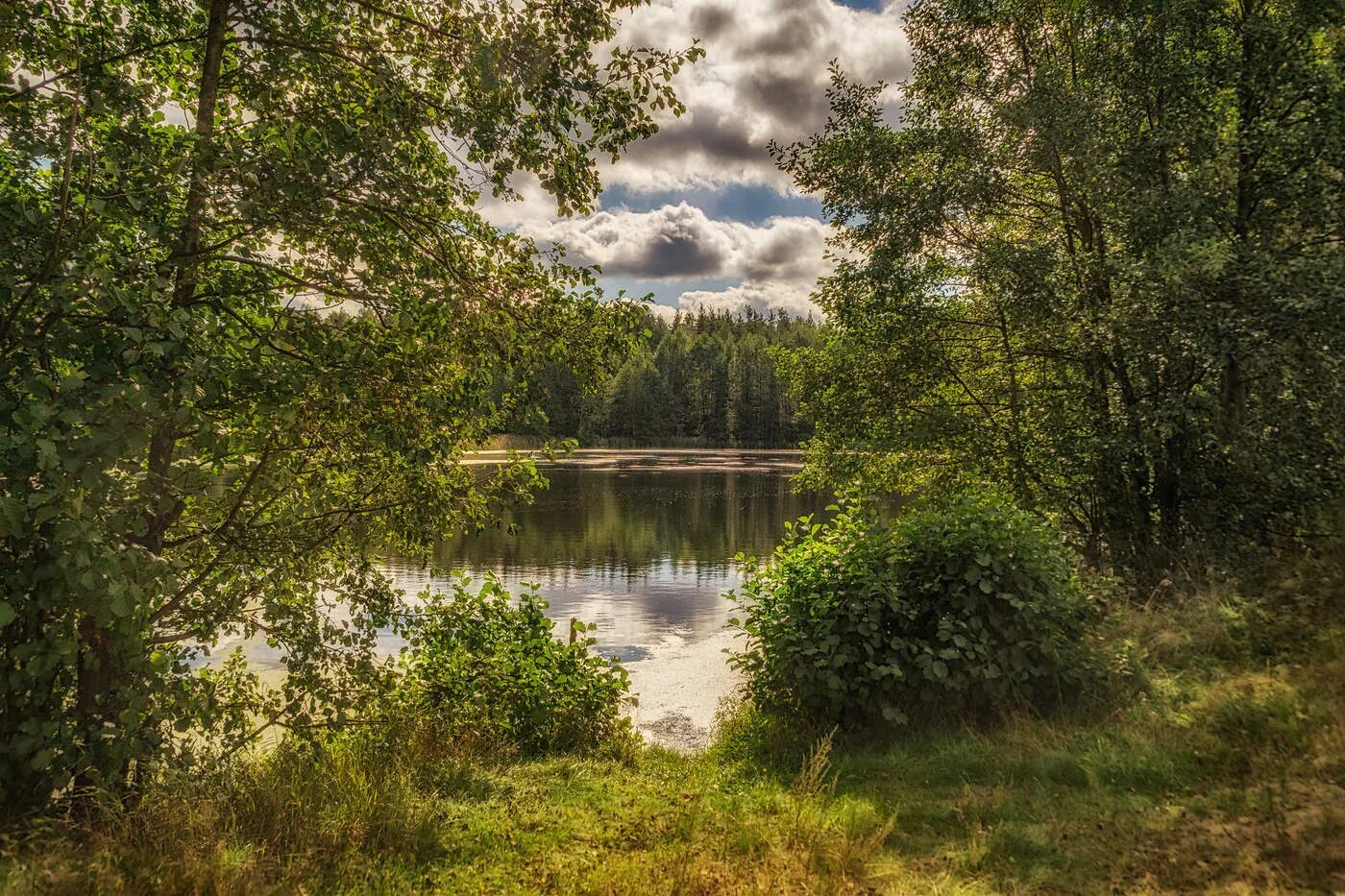 Вновь середина. Середина фото. Середина. Середина картинка.