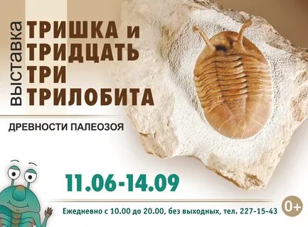 Музей новосибирска афиша