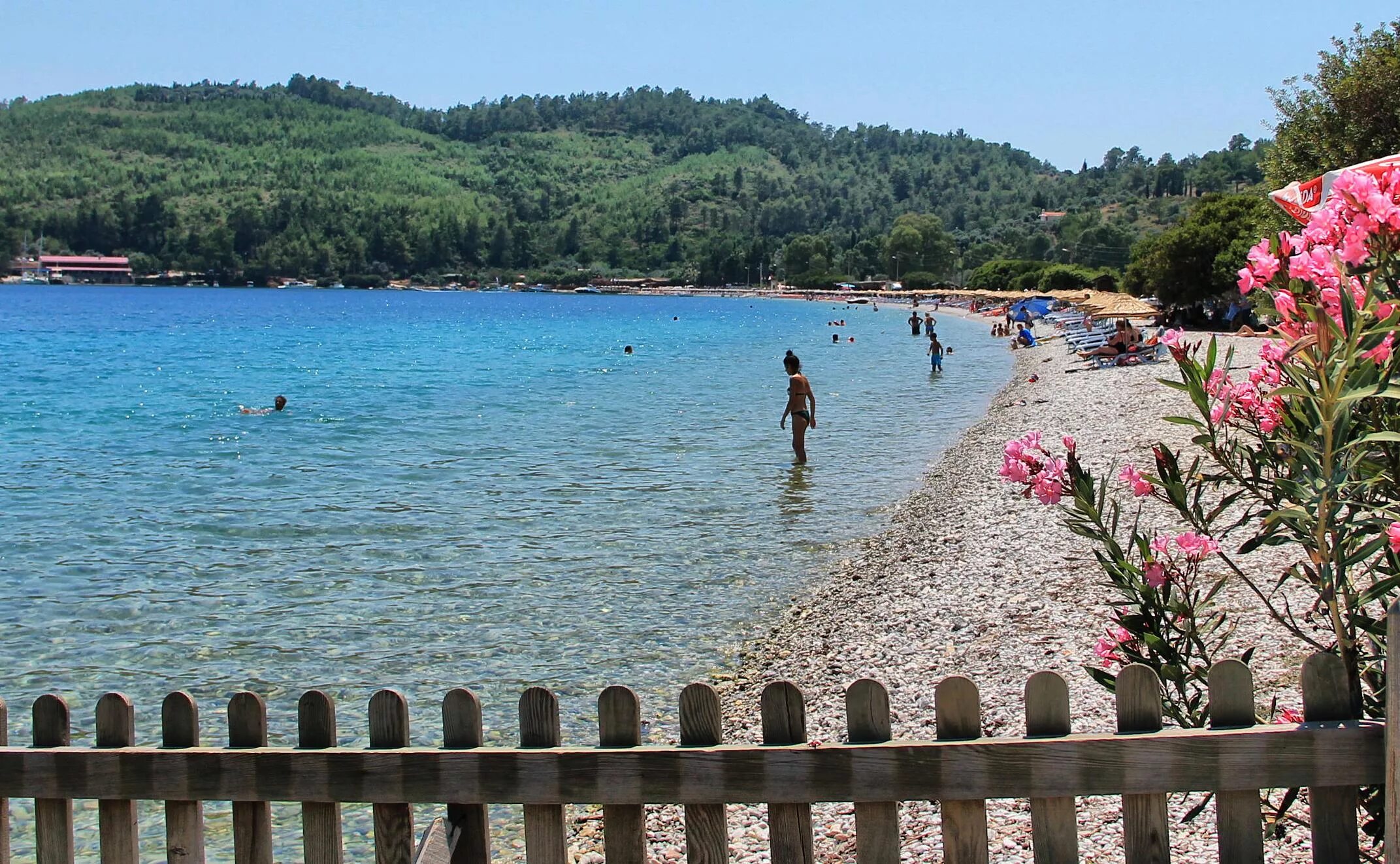 El milas. Милас Мугла Турция. Muğla- Milas Турция. Турция Милас центр города. Милас фото пляж.