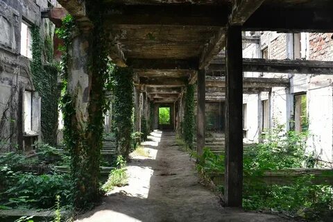 Сухуми партизанская ул 40