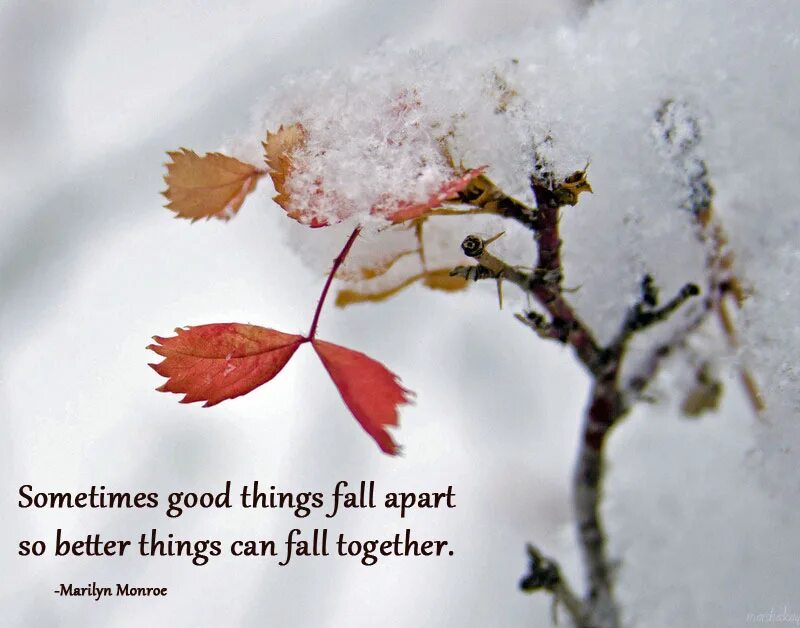 The best thing you can. Good thing. Good things Fall Apart. Fall Apart картинки. Sometimes good things Fall Apart, so better things can Fall together.перевод.