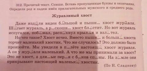 Спиши вставляя пропущенные буквы обозначьте окончания
