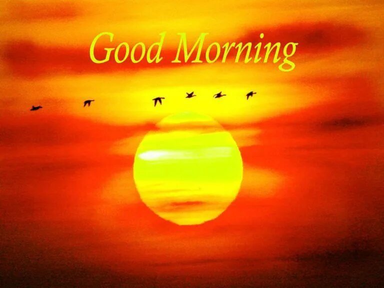 Is it morning there. Good morning рассвет. good morning солнце. good morning with sun. good morning картинки.