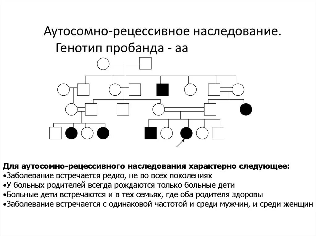 Схема родословной на аутосомно-доминантный Тип наследования. Генеалогический метод аутосомно доминантный. Родословная генетика аутосомно доминантный. Родословная по аутосомно доминантному типу наследования. Аутосомное наследование пример