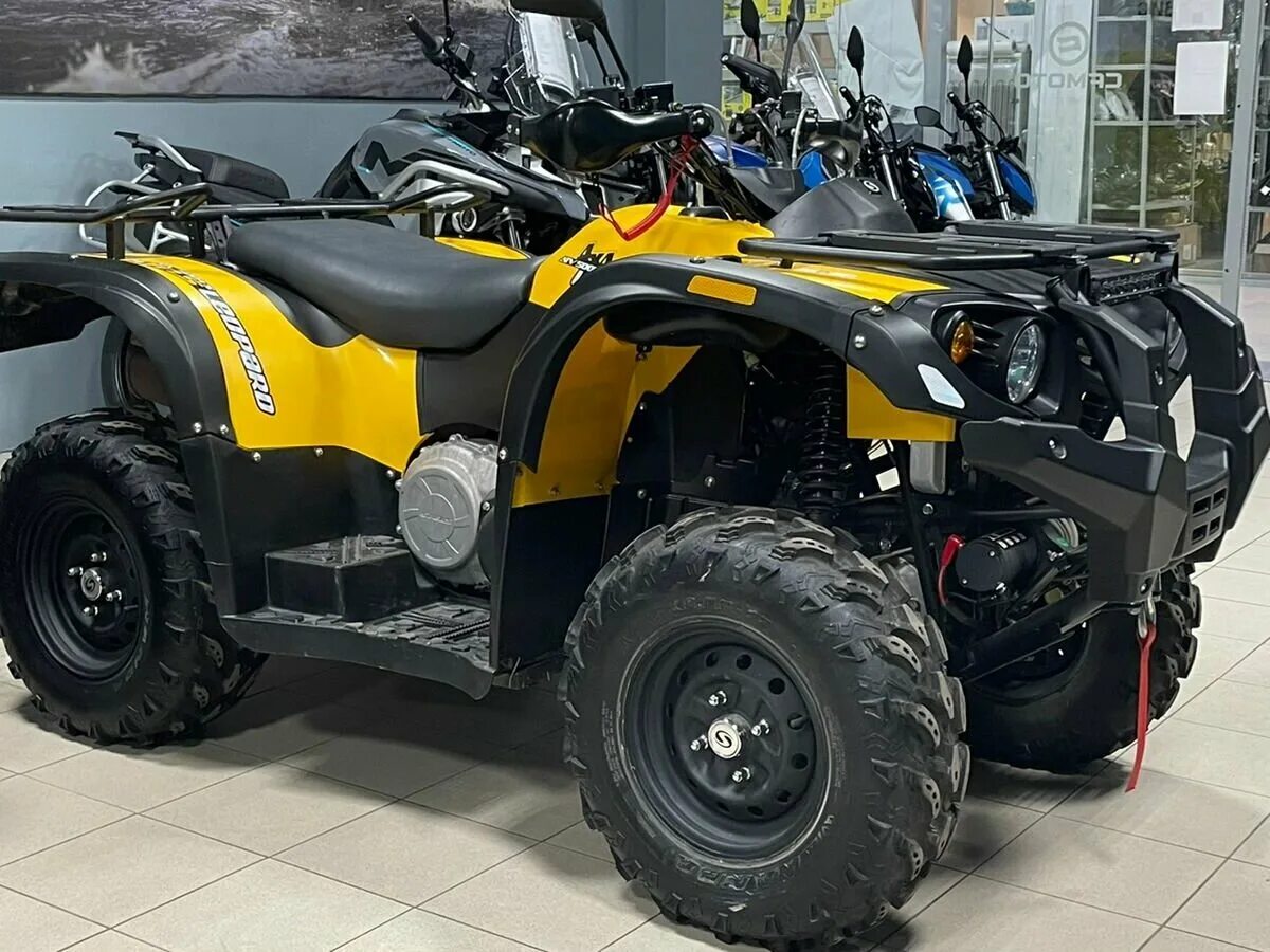 Стелс леопард 1000. Стелс леопард 500. Stels leopard 500. Stels atv 500 ys leopard. Квадроцикл стелс 500 леопард.