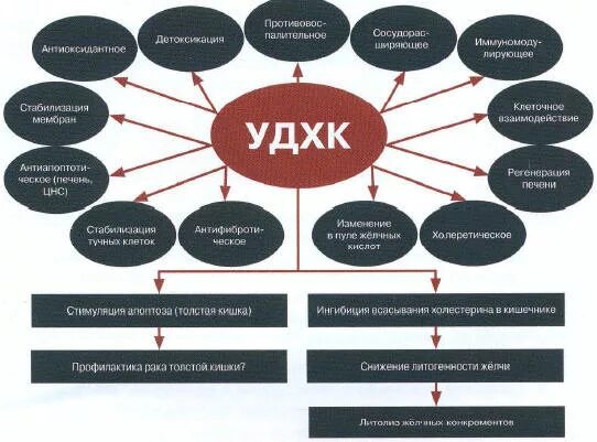 урсодезоксихолевой кислоты (удхк. 500мг. урсодезоксихолевая кислота 250 мг капсулы. инструкция удхк 500. инструкция удхк 500.