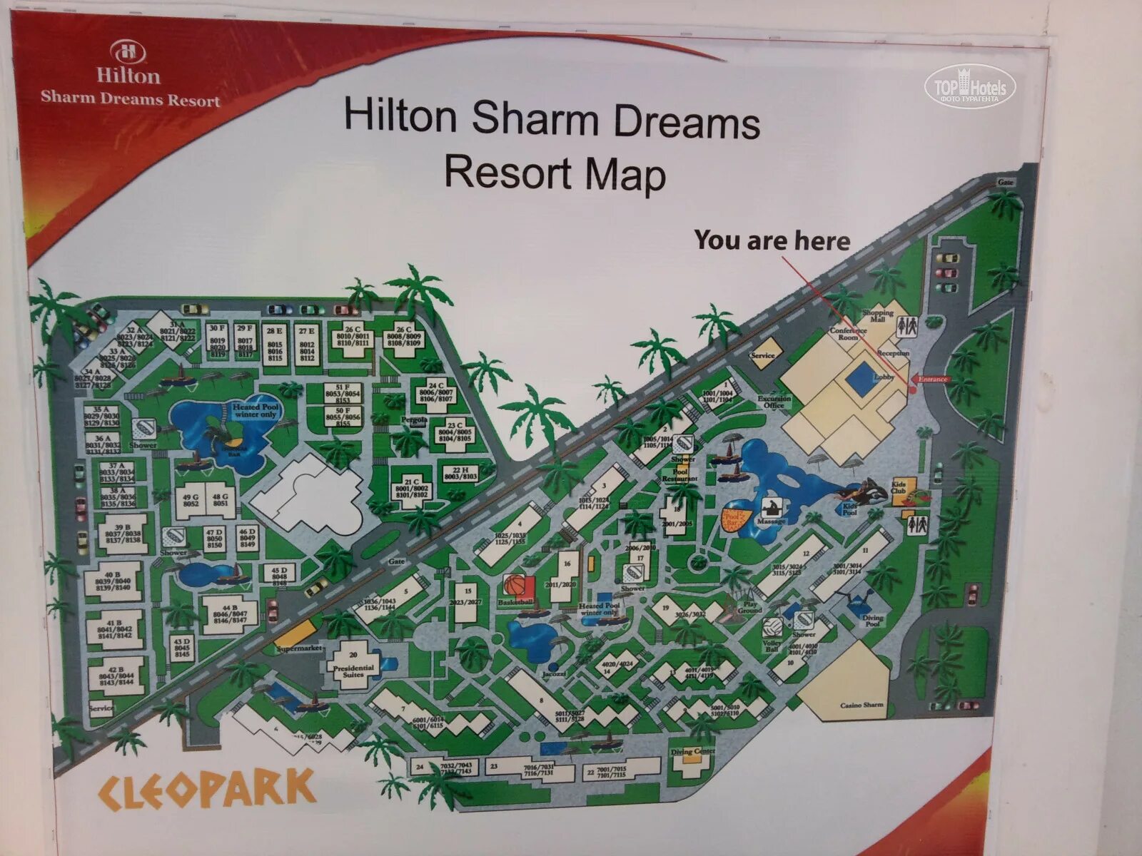 Sharm dreams resort карта отеля. Jaz sharm dreams resort карта отеля. Отзыв sharm dreams resort. Jaz sharm dreams resort 5 карта отеля. Jaz sharm dreams resort 5 карта отеля.