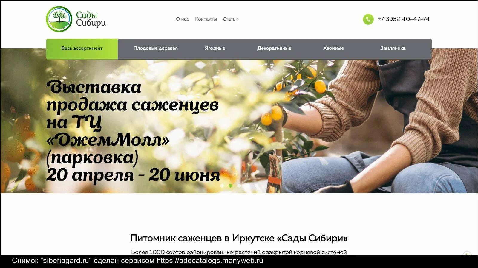 Гарденвуд. Сибирский питомник берлинка омск. Сады сибири иркутск каталог. Сибирский питомник растений. Каталоги сибирских питомников.