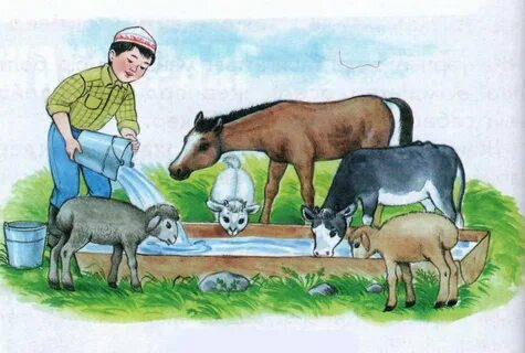 Қисық Азия қыздары бейне