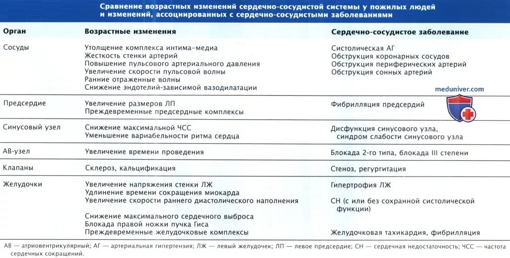 Возрастные изменения сердечно-сосудистой системы. Возрастные изменения Кровеносно-сосудистой системы. Изменения ССС при старении. Изменение сердечно сосудистой системы при старении. Возрастные сосудистые изменения