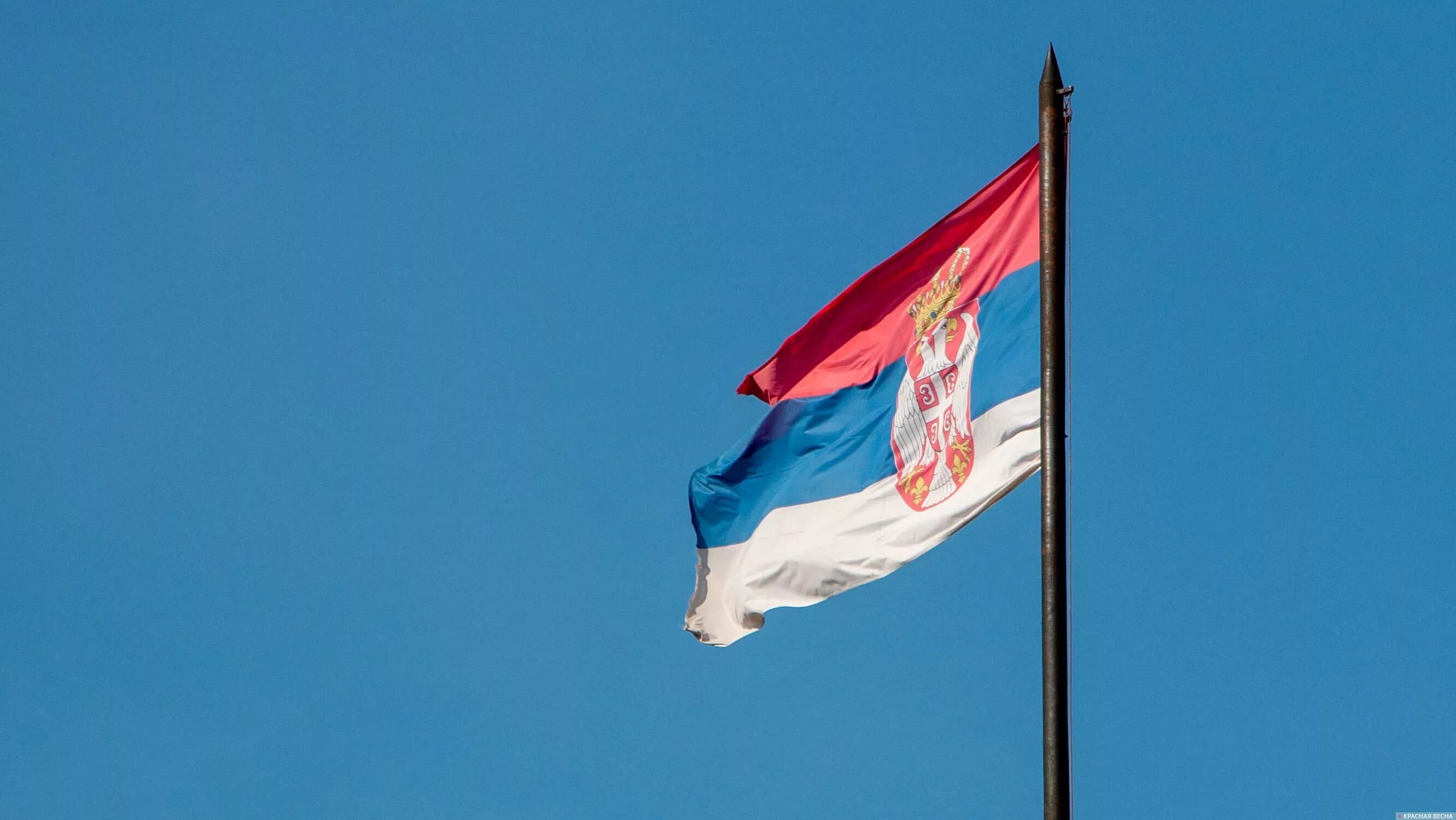Цвета флага сербии. Полако сербия. флаг националистической сербии. флажок сербии. флаг сербских националистов.