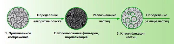 Уменьшение размера частиц. Оборудование для определения размеров частиц. Дендритная форма частиц порошка. Измерение среднего размера частиц порошков. Размер частицы тонера в принтере.