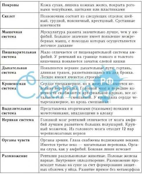 Таблица рептилий 7 класс. Внутреннее строение пресмыкающихся таблица система строение функции. Таблица по биологии 7 класс системы органов пресмыкающихся. Таблица пресмыкающиеся 7 класс биология система органов. Система органов пресмыкающихся таблица 7 класс биология.