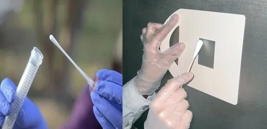 забор смывов. смыв с рук микробиология.