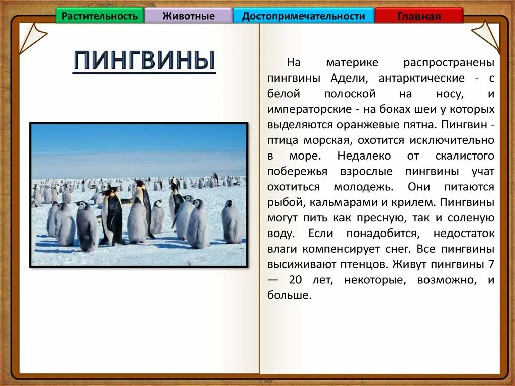 Где живут пингвины на каком материке. На каком материке живут пингвины. Как называется материк на котором живут пингвины. На каком материке живут пингвины укажите на рисунке. 10 На каком материке живут пингвины? Укажи на рисунке.