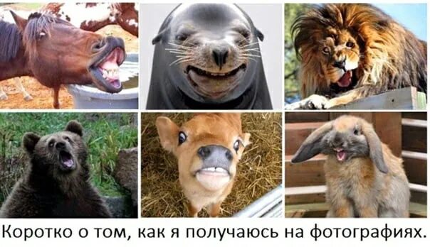 Почему плохо получается. Как я получаюсь на фото приколы. прикольные картинки как я получаюсь на фото. коротко о том как я получаюсь на фотографиях. я плохо получаюсь на фотографиях.