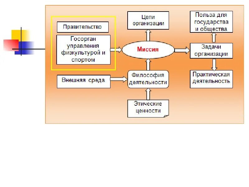 Задачи спортивной организации