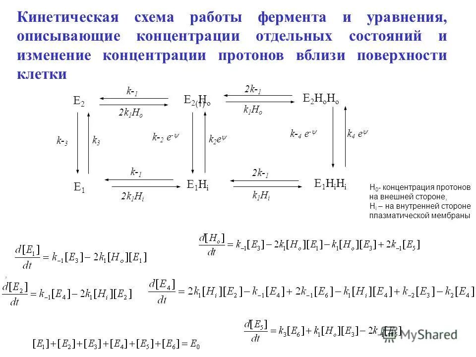 Ионное произведение воды численно равно. Концентрация протонов в растворе. Концентрация протонов в растворе. Концентрация протонов в растворе. Вода ионное произведение воды водородный показатель.