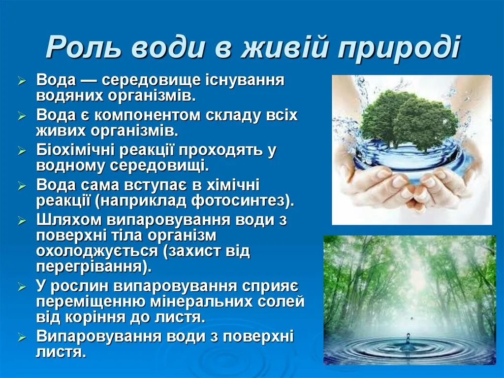 Роль воды в воздухе. Проект вода. Вода и человек. Роль воды в природе. Природа много воды.