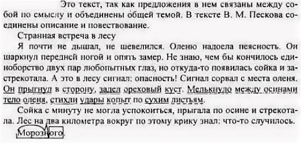 Все виды плана составить по тексту странная была встреча. Прочитайте историю рассказанную в песковым. Гдз по русскому языку 5 класс ладыженская страница 104. Прочитайте историю рассказанную в песковым. Прочитайте историю рассказанную в песковым.