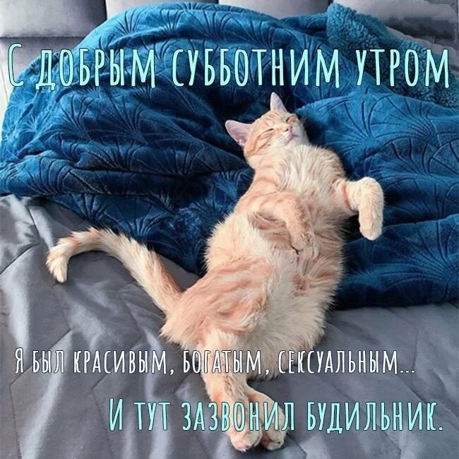 Доброе утро суббота картинки прикольные смешные. Доброе субботнее утро. доброе утро субботы. с добрым субботним утром прикольные. доброе утро субботы прикольные.