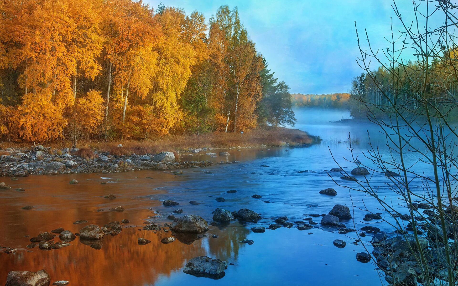 Поназырево осень река. Река Тулва осень. Река Ухра осень. Николина гора река осень. Река в осеннем лесу