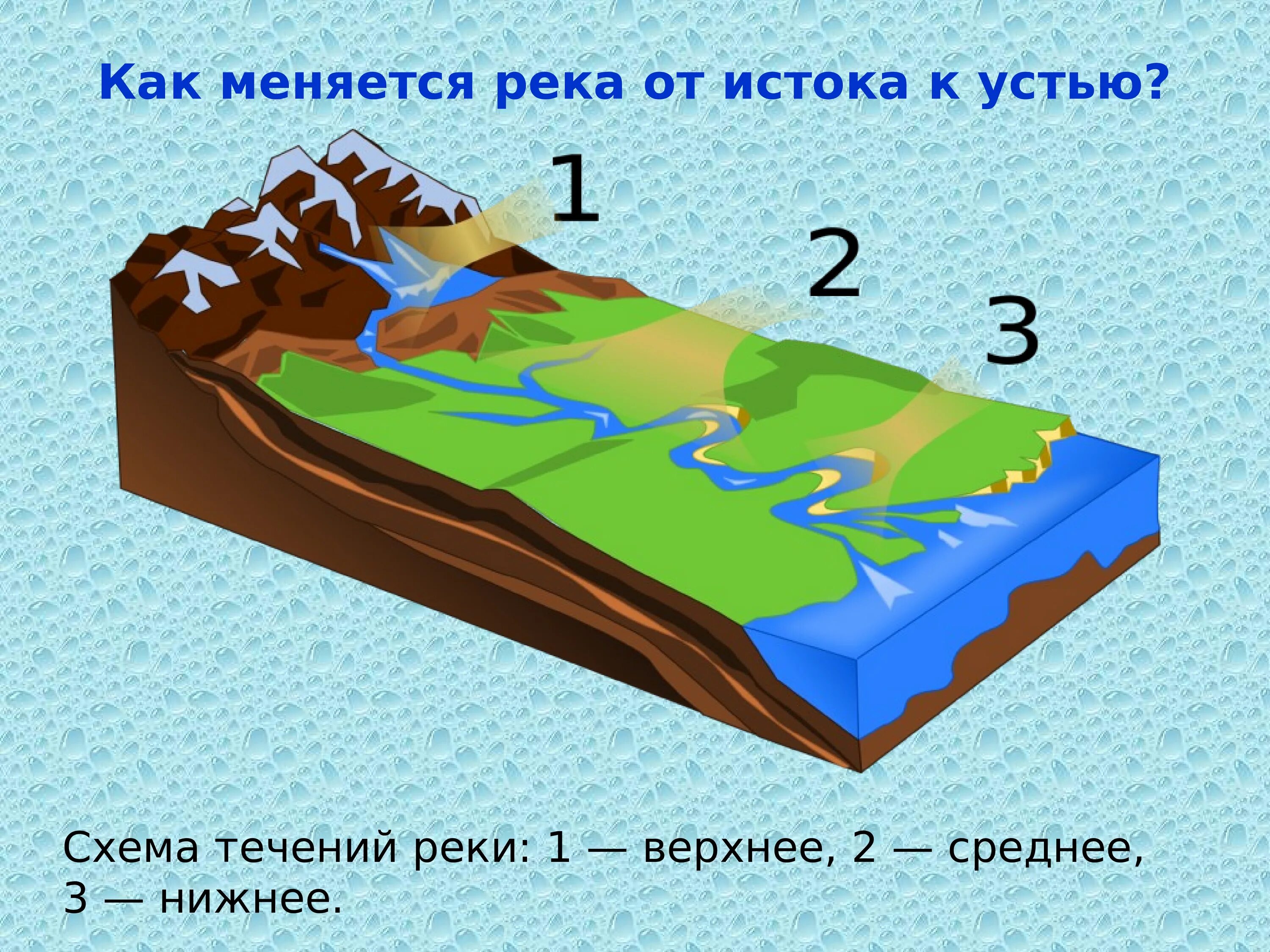 Верхнее среднее и нижнее течение реки. Схема течения реки. Исток реки схема. Части реки верхнее течение. Части реки 6 класс