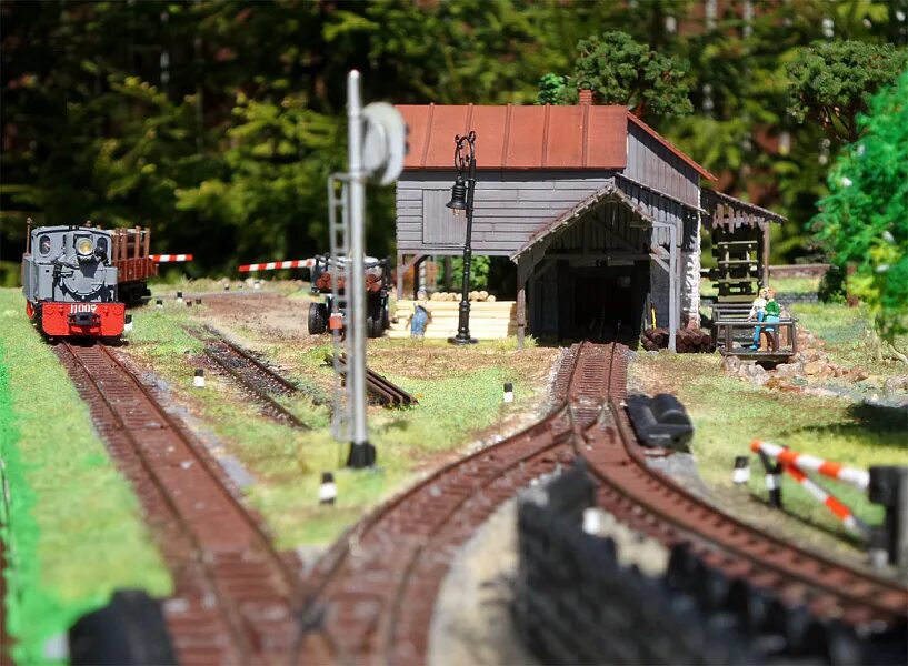 Макет х. Макет х. Макет h0. Международный день модельной железной дороги. Макет узкоколейной железной дороги.