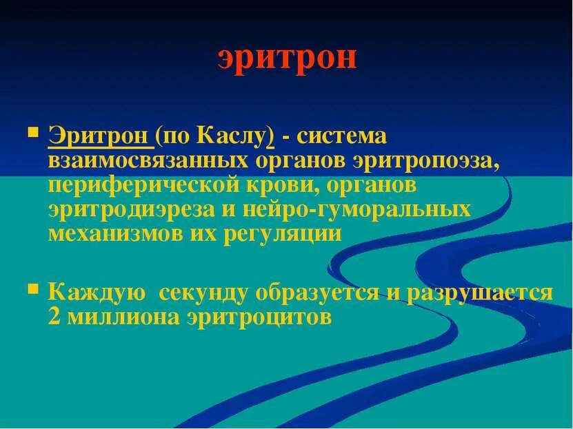 Эритрон. Понятие об эритроне. эритрон это физиология. система эритрона.