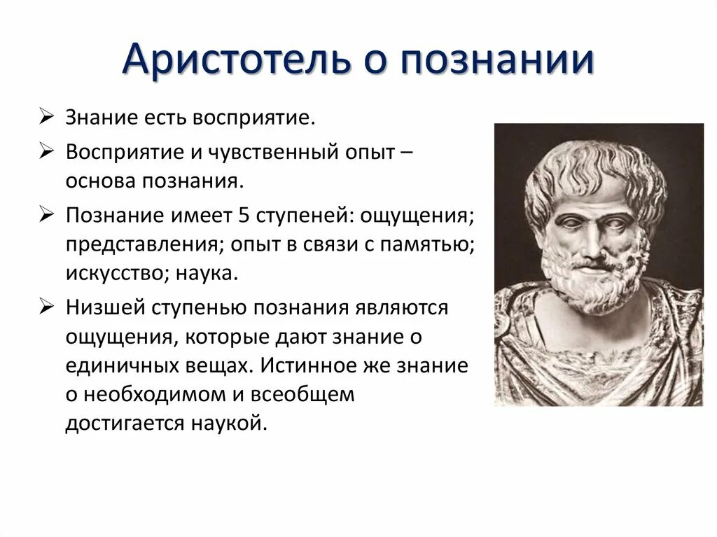 Аристотель о познании. Теория Аристотеля. Учение о познании Аристотеля. Теория познания Аристотеля.