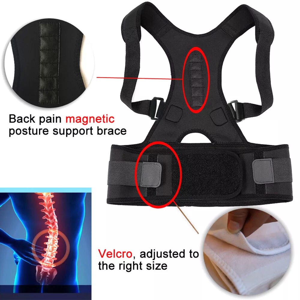 Back supports