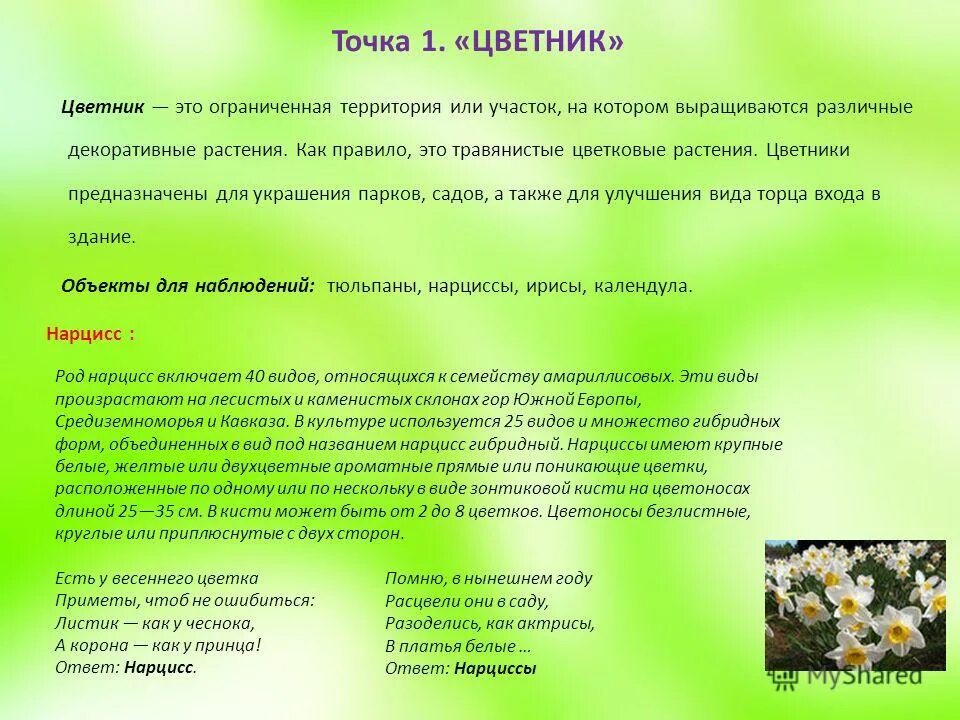 Направления нравственного воспитания. Формирование нравственных отношений к природе. Задачи по экологическому воспитанию в доу. Воспитание гуманного отношения к природе (нравственное воспитание);. Этическое отношение к природе.