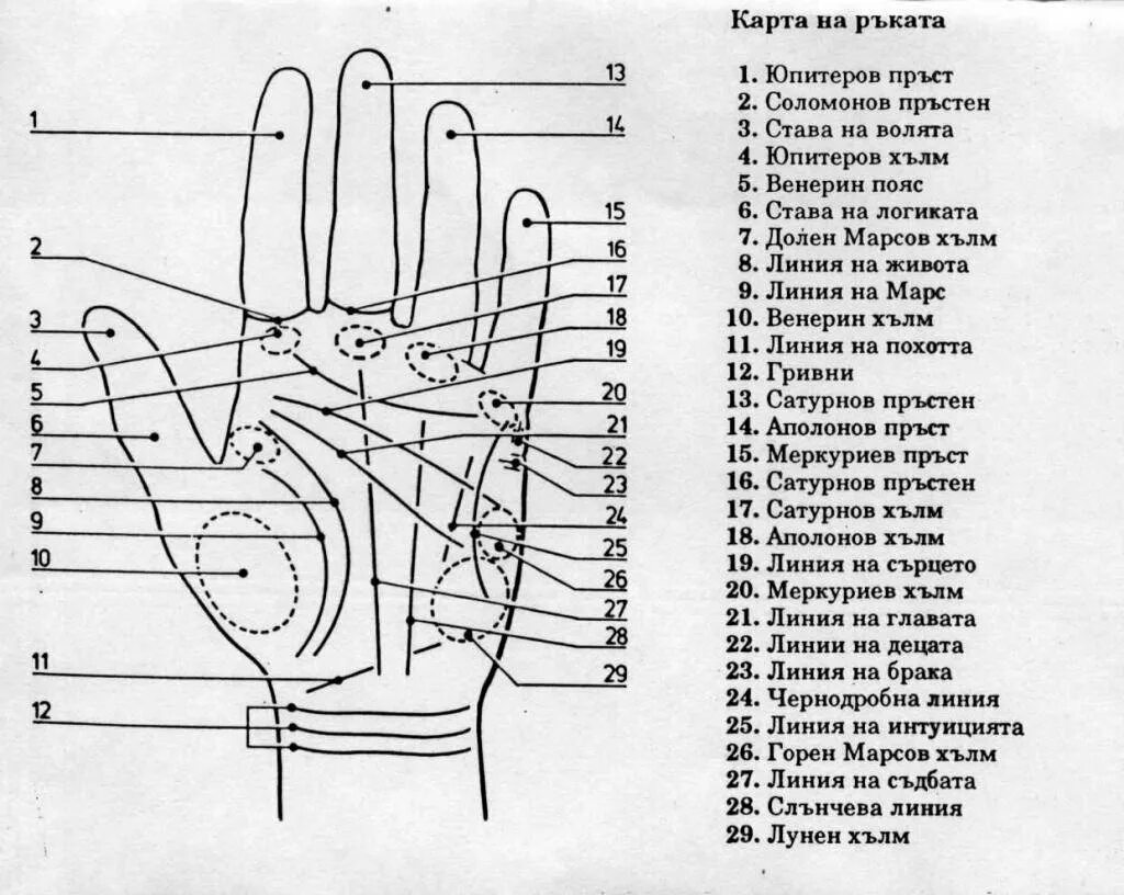 Гудтаймс хиромантия